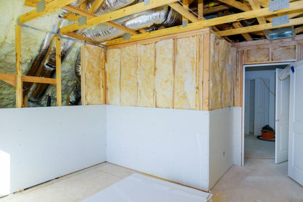 Best Eco-Friendly Insulation in Kennesaw, GA